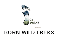 logo- WeFound Enterprises